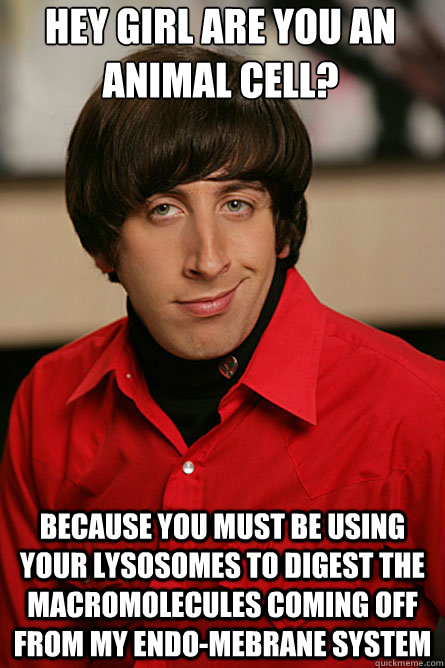 Hey girl are you an animal cell? Because you must be using your lysosomes to digest the macromolecules coming off from my endo-mebrane system    - Hey girl are you an animal cell? Because you must be using your lysosomes to digest the macromolecules coming off from my endo-mebrane system     Pickup Line Scientist