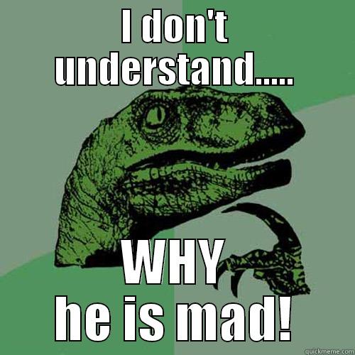 I DON'T UNDERSTAND..... WHY HE IS MAD! Philosoraptor