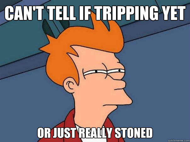 Can't tell if tripping yet or just really stoned  Futurama Fry