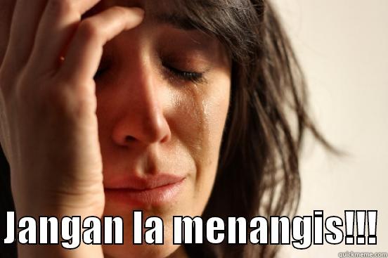   JANGAN LA MENANGIS!!! First World Problems