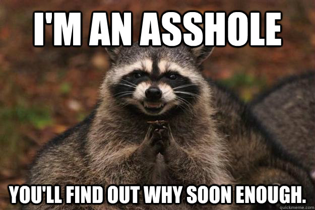 I'm an asshole You'll find out why soon enough.  - I'm an asshole You'll find out why soon enough.   Evil Plotting Raccoon