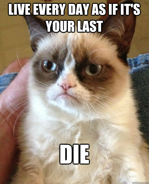 live every day as if it's your last die  Grumpy Cat