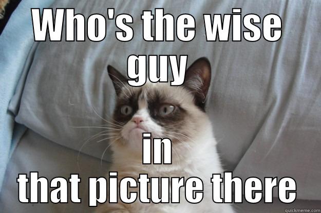 WHO'S THE WISE GUY IN THAT PICTURE THERE Grumpy Cat