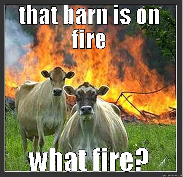 THAT BARN IS ON FIRE WHAT FIRE? Evil cows