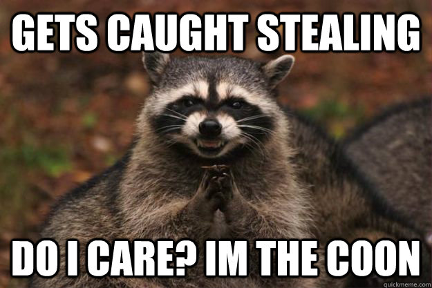 Gets caught stealing do i care? im the coon  Evil Plotting Raccoon