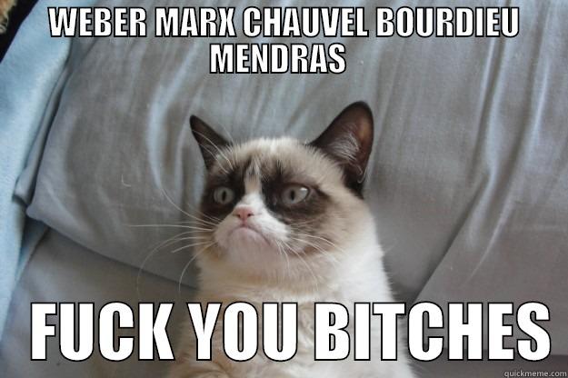  WEBER MARX CHAUVEL BOURDIEU MENDRAS     FUCK YOU BITCHES Grumpy Cat