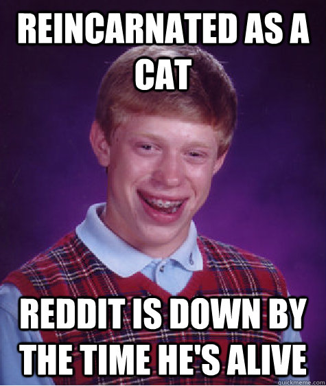 reincarnated as a cat reddit is down by the time he's alive  Bad Luck Brian