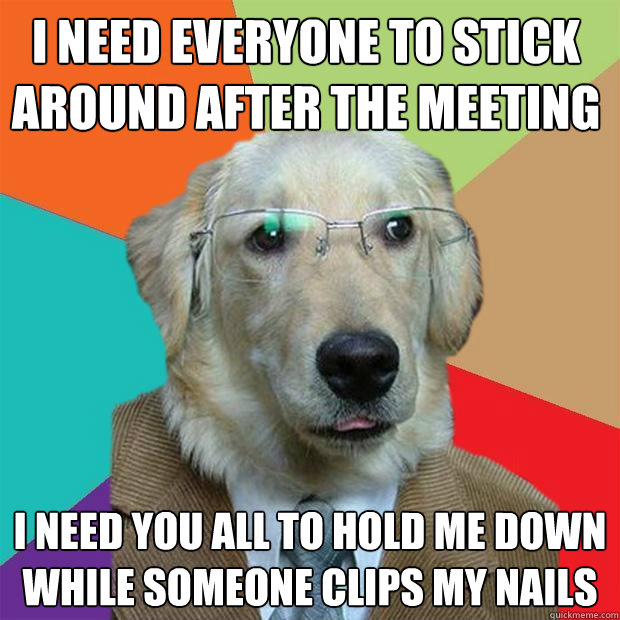 I NEED EVERYONE TO STICK AROUND AFTER THE MEETING I NEED YOU ALL TO HOLD ME DOWN WHILE SOMEONE CLIPS MY NAILS  Business Dog