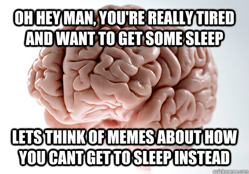 Oh hey man, you're really tired and want to get some sleep Lets think of memes about how you cant get to sleep instead  Get the [AdviceAnimals Chrome extension!](http://www.livememe.com/extension)  Scumbag Brain