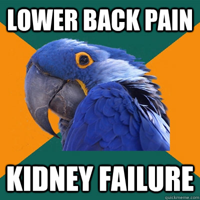 Lower back pain KIDNEY FAILURE - Lower back pain KIDNEY FAILURE  Paranoid Parrot