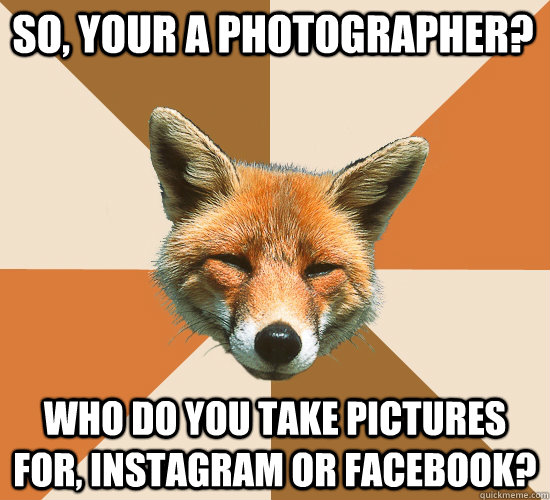 so, your a photographer? who do you take pictures for, instagram or facebook?  Condescending Fox