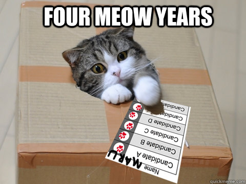 Four Meow Years - Four Meow Years  Four Meow Years