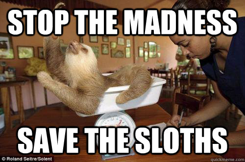 STOP THE MADNESS save the sloths - STOP THE MADNESS save the sloths  Dramatic Sloth