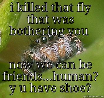 I KILLED THAT FLY THAT WAS BOTHERING YOU  NOW WE CAN BE FRIENDS...HUMAN? Y U HAVE SHOE? Misunderstood Spider