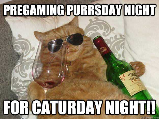 pregaming purrsday night for caturday night!!  Party Cat