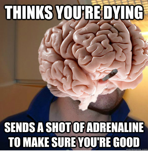 Thinks you're dying Sends a shot of adrenaline to make sure you're good - Thinks you're dying Sends a shot of adrenaline to make sure you're good  Good Guy Brain