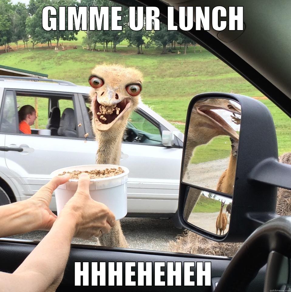 GIMME UR LUNCH HHHEHEHEH Misc