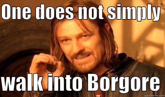 When you bump into famous djs on the streets - ONE DOES NOT SIMPLY   WALK INTO BORGORE Boromir