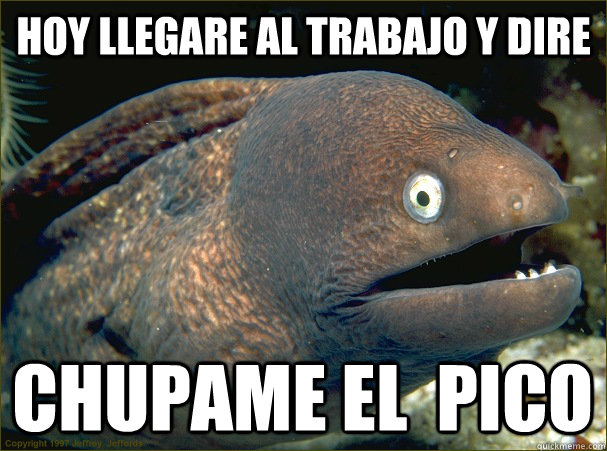 hoy llegare al trabajo y dire chupame el  pico  Bad Joke Eel