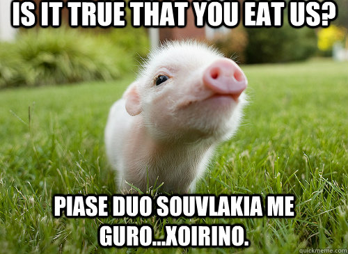 Is it true that you eat us? Piase duo souvlakia me guro...xoirino.  baby pig