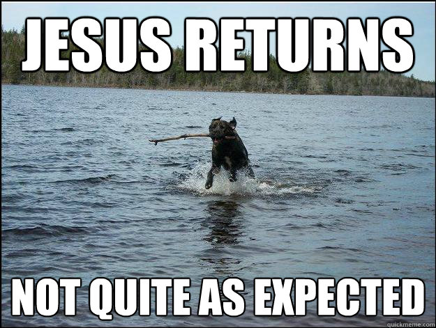 Jesus returns not quite as expected - Jesus returns not quite as expected  JesusDog