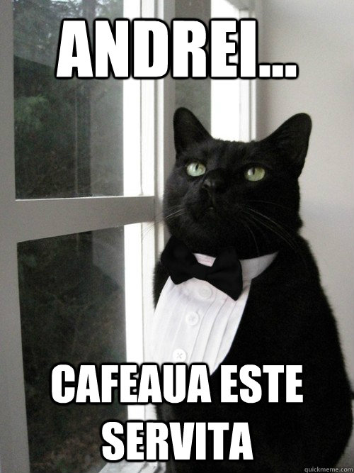 Andrei... cafeaua este servita   One Percent Cat