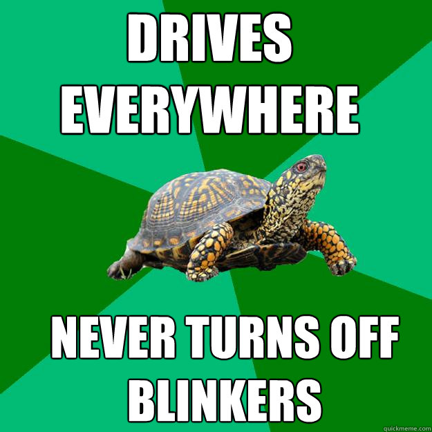 Drives everywhere never turns off blinkers  Torrenting Turtle