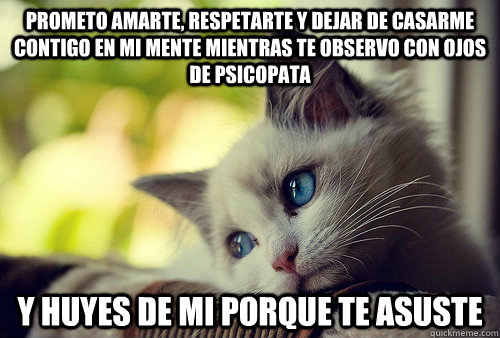 Prometo amarte, respetarte y dejar de casarme contigo en mi mente mientras te observo con ojos de psicopata y huyes de mi porque te asuste  First World Problems Cat