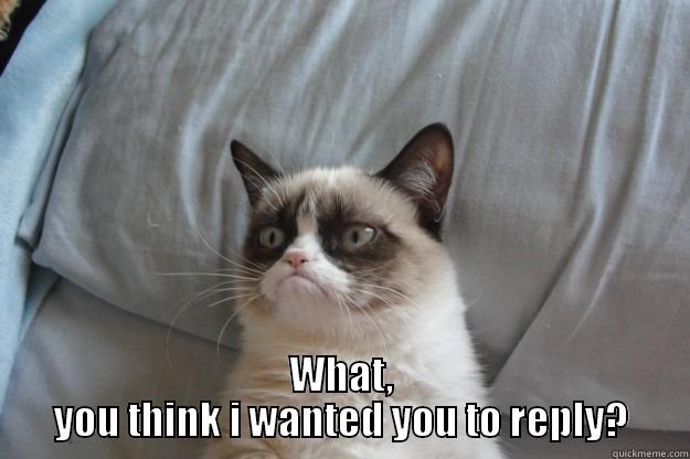 did i ask you to reply? -  WHAT, YOU THINK I WANTED YOU TO REPLY? Grumpy Cat