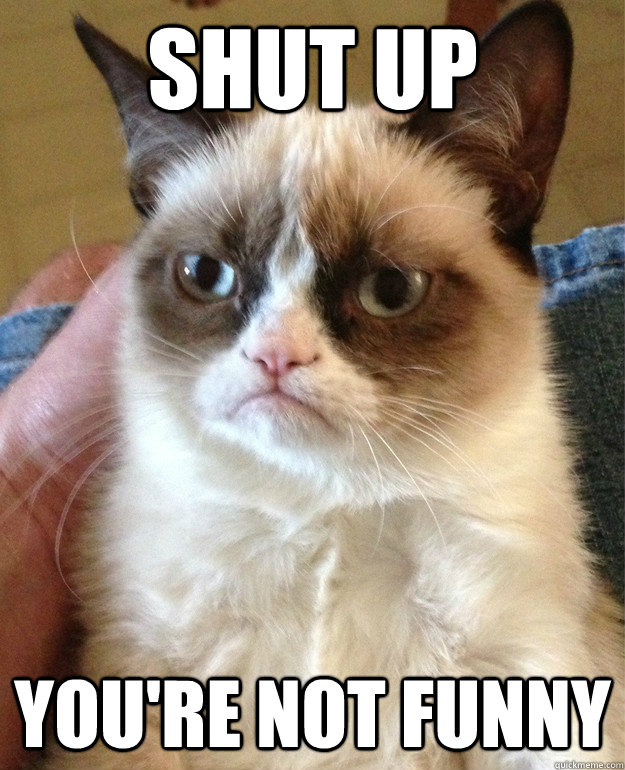 Shut up You're not funny - Shut up You're not funny  Grumpy Cat