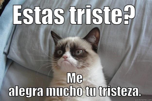 ESTAS TRISTE? ME ALEGRA MUCHO TU TRISTEZA. Grumpy Cat