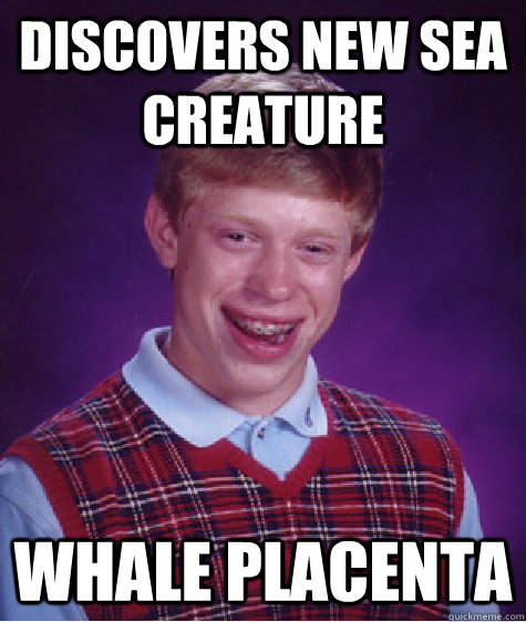 DISCOVERS NEW SEA CREATURE WHALE PLACENTA  Bad Luck Brian