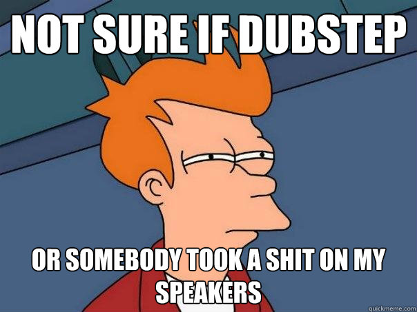 Not sure if dubstep Or somebody took a shit on my speakers  Futurama Fry