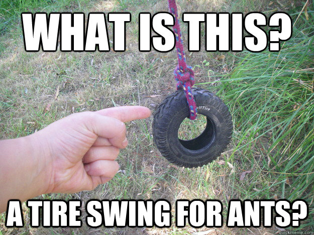 What is this? A Tire Swing for Ants?  Tiny tire