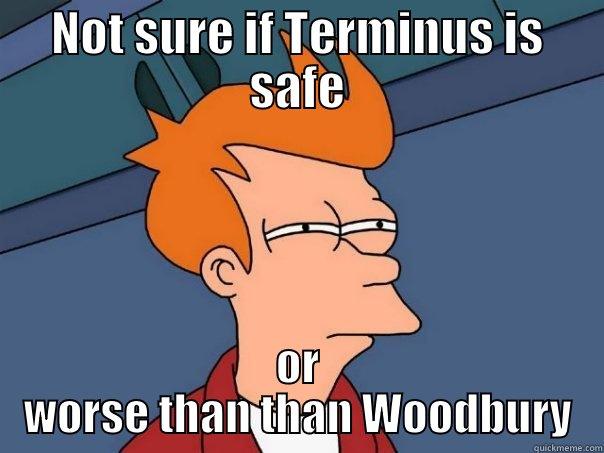 NOT SURE IF TERMINUS IS SAFE OR WORSE THAN THAN WOODBURY Futurama Fry