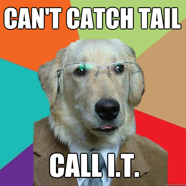 can't catch tail call i.t.  Business Dog