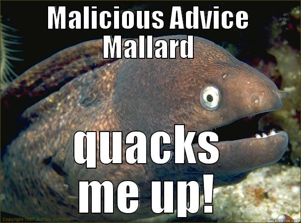 MALICIOUS ADVICE MALLARD QUACKS ME UP! Bad Joke Eel