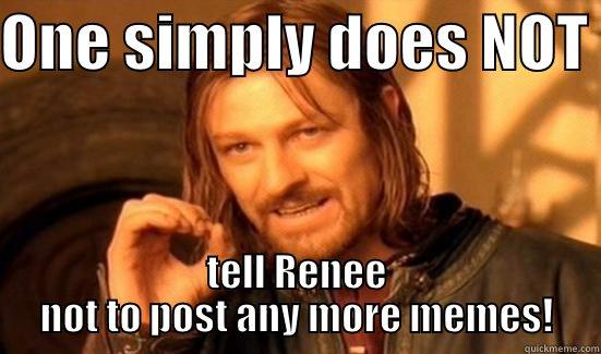 ONE SIMPLY DOES NOT  TELL RENEE NOT TO POST ANY MORE MEMES! Boromir