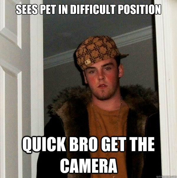 Sees pet in difficult position  quick bro get the camera  Scumbag Steve