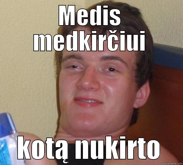 Medis nukirt - MEDIS MEDKIRČIUI KOTĄ NUKIRTO 10 Guy