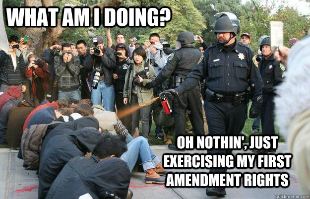 what am I doing? oh nothin', just exercising my first amendment rights  Pimp Pepper Spray Cop