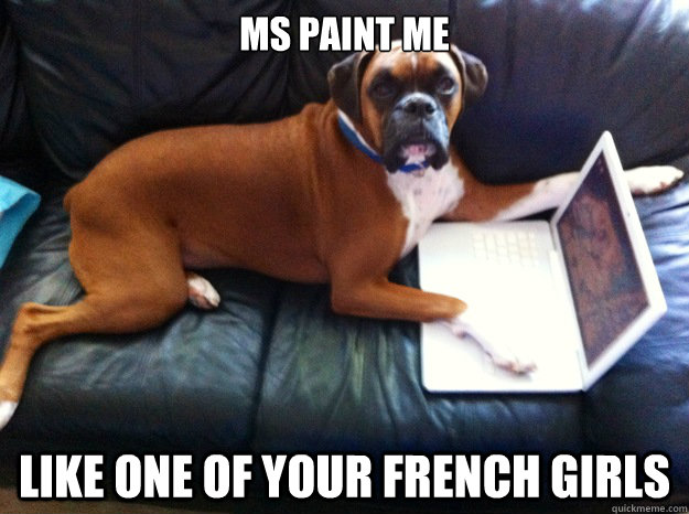 ms paint me like one of your french girls  Oblivious Boxer