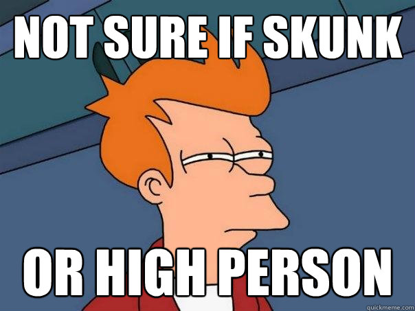 Not sure if skunk Or high person - Not sure if skunk Or high person  Futurama Fry