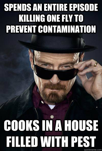 Spends an entire episode killing one fly to prevent contamination Cooks in a house filled with pest  SCUMBAG WALTER WHITE