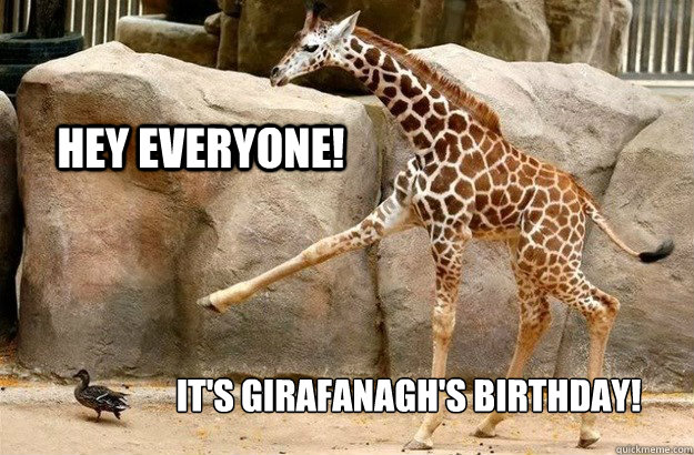 HEY EVERYONE! IT's Girafanagh's birthday!  