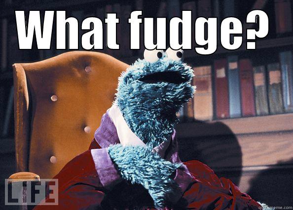 WHAT FUDGE?  Cookie Monster