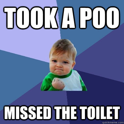 Took a poo missed the toilet  Success Kid