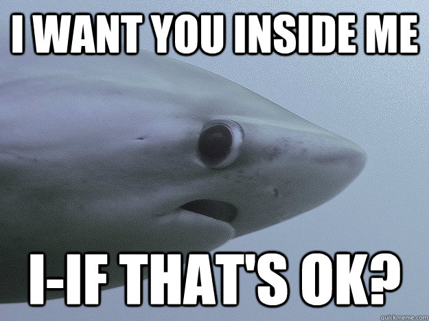 I WANT YOU INSIDE ME I-IF THAT'S OK?  Shy Shark