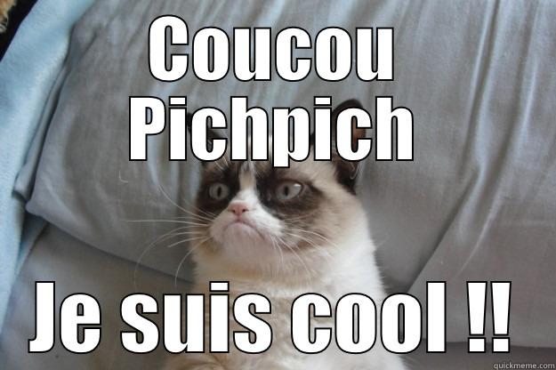 COUCOU PICHPICH JE SUIS COOL !! Grumpy Cat