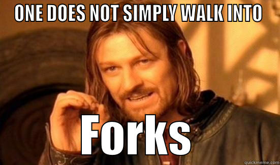 ONE DOES NOT SIMPLY WALK INTO FORKS Boromir